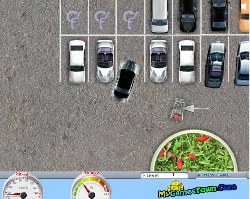 Master of Parking