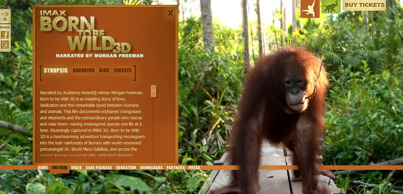 Born to be Wild 3D Microsite