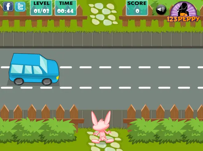Rabbit Rescue