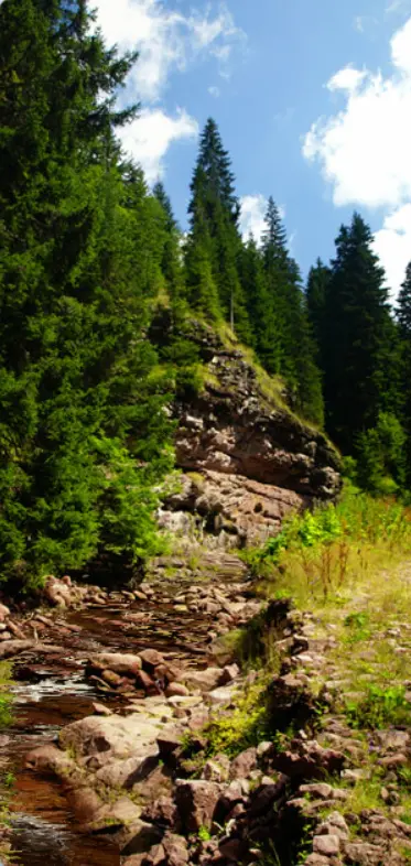 Ustronianka - Animacja główna