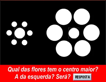Duas flores, uma pergunta.