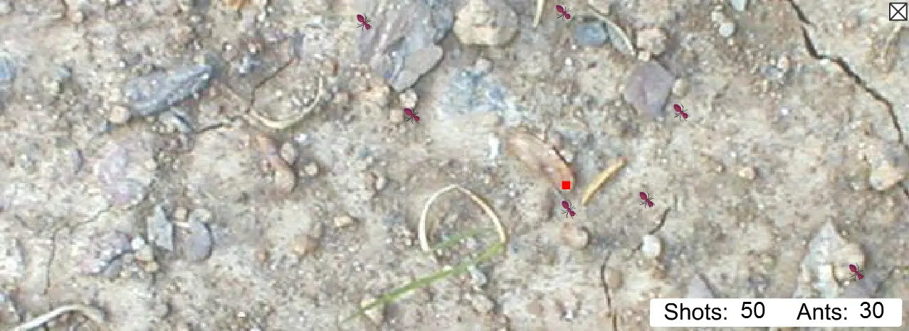Ant Killer