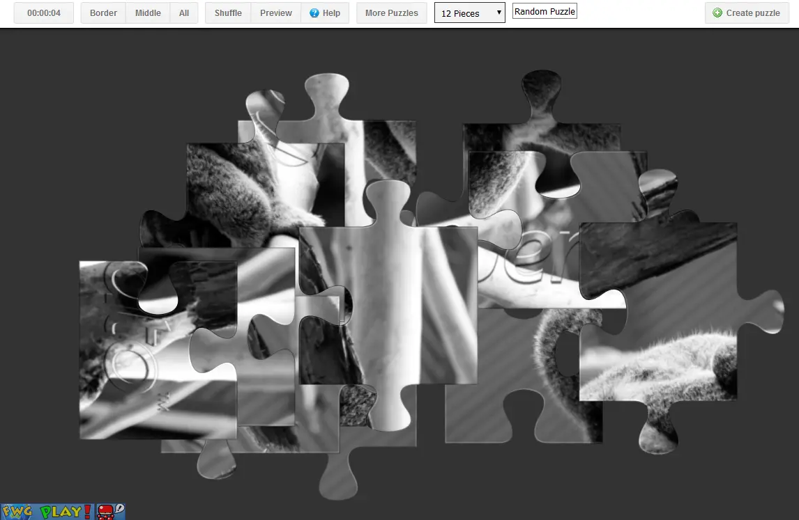 Canvas Puzzle