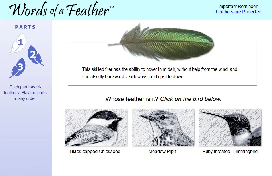 Words of a Feather