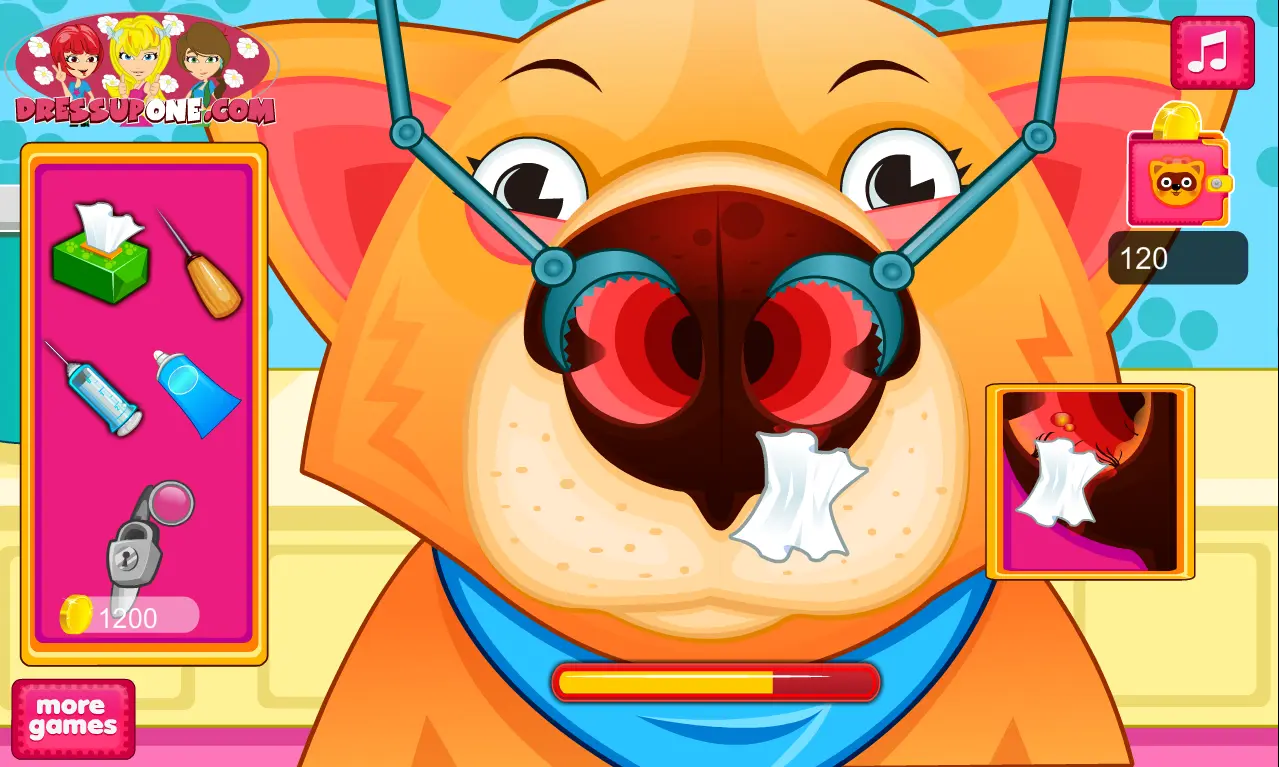 Doctor Pet Nose