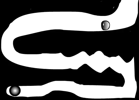 Black & White