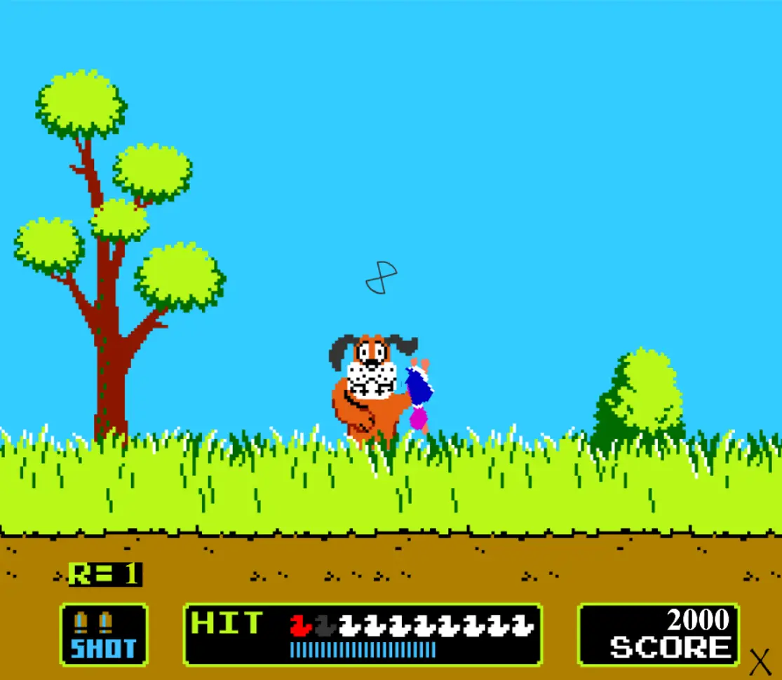 Duck Hunt