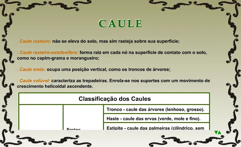Caule