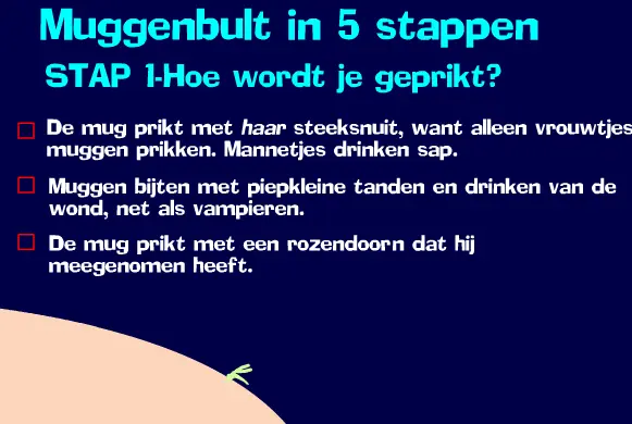 Muggen Quiz