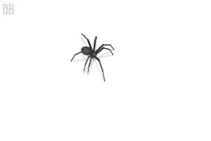 aBowman Spider
