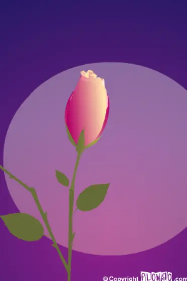 Rose for Mom
