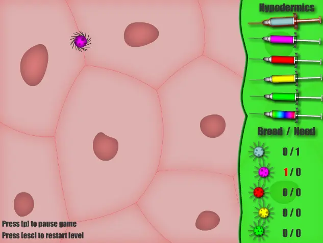 Mitosis: Serum Experiment