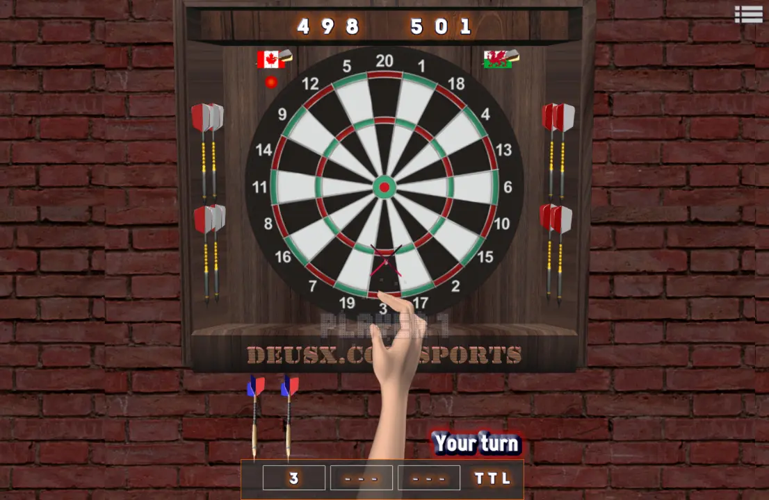 501 Darts
