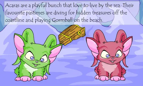 Neopet Preview: Acara