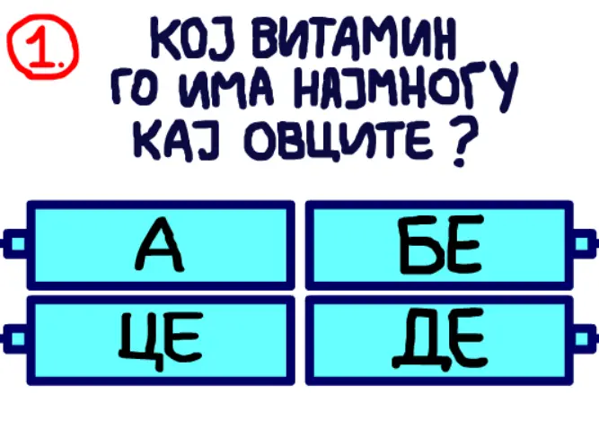 Глупи Прашања