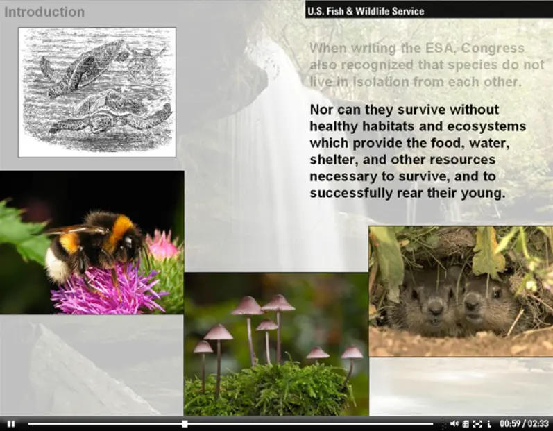 An Introduction to the Endangered Species Act of 1973