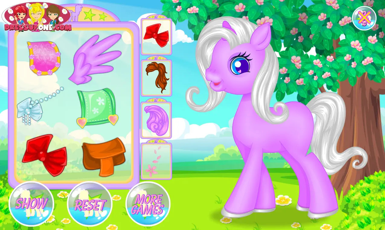 Pony Grooming Salon
