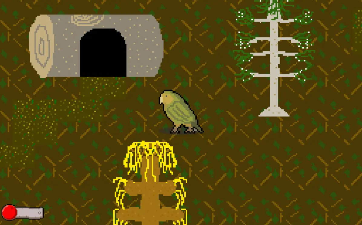 Kakapo Quest