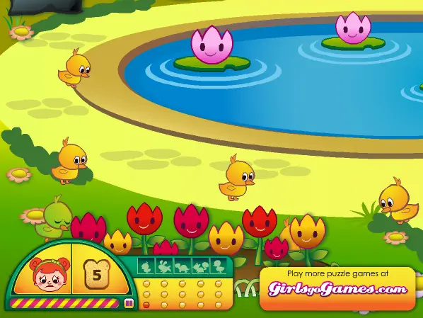 DuckPond Puzzle