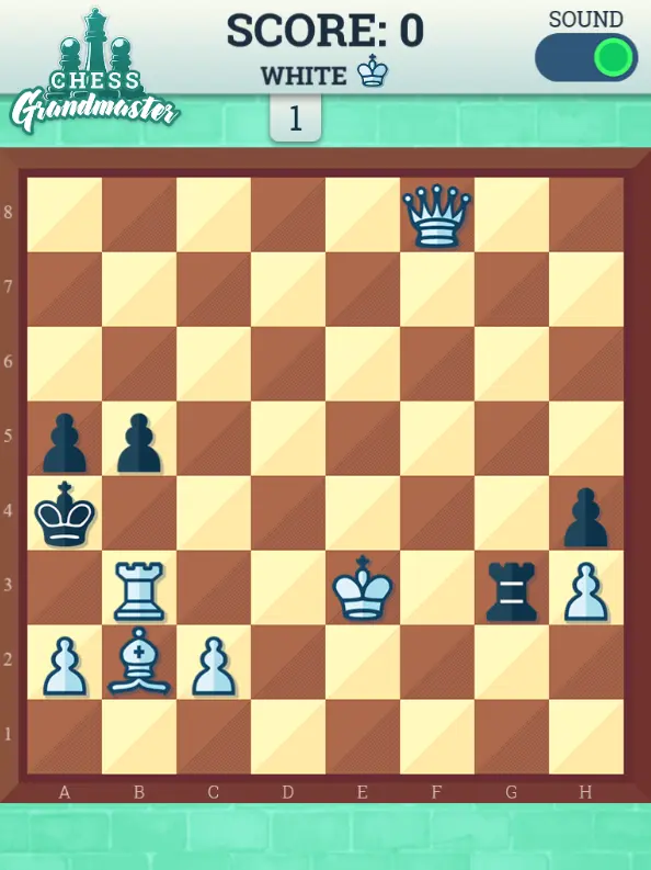 Chess Grandmaster