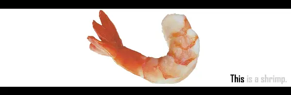 KurrentKat#1:Shrimp
