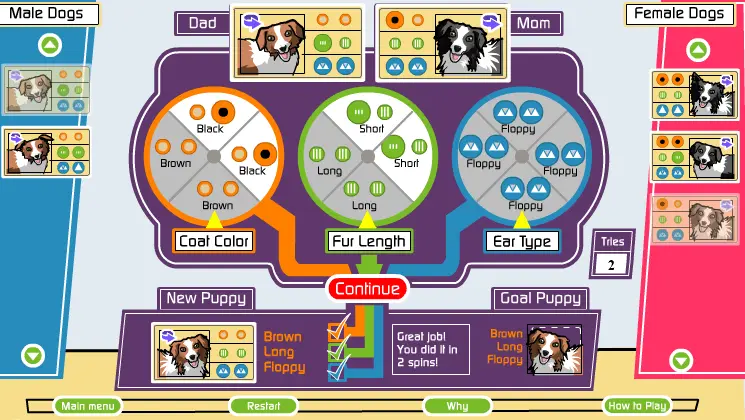 Dog Breeding