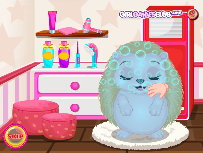 Baby Hedgehog Salon