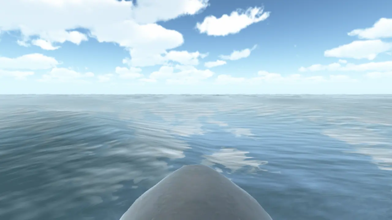Shark Surfer