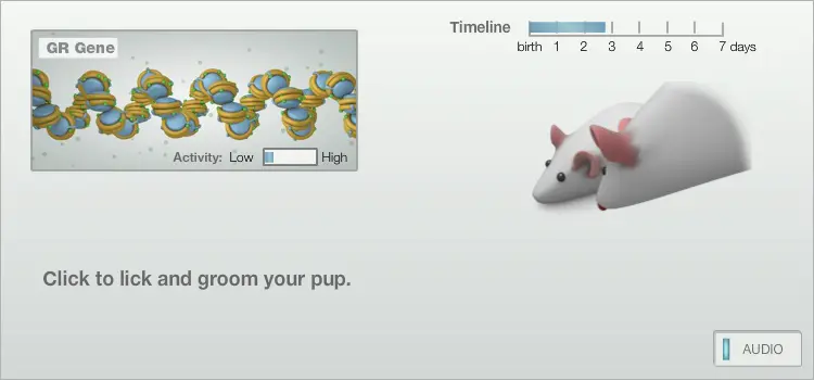 Lick Your Rats