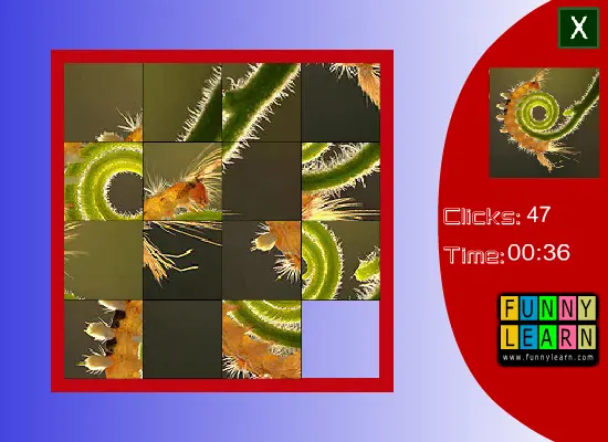Caterpillar Slide Puzzle