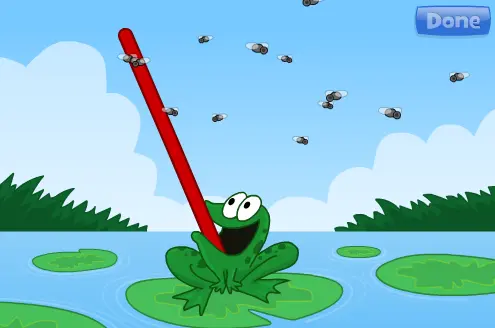 Fly Trap