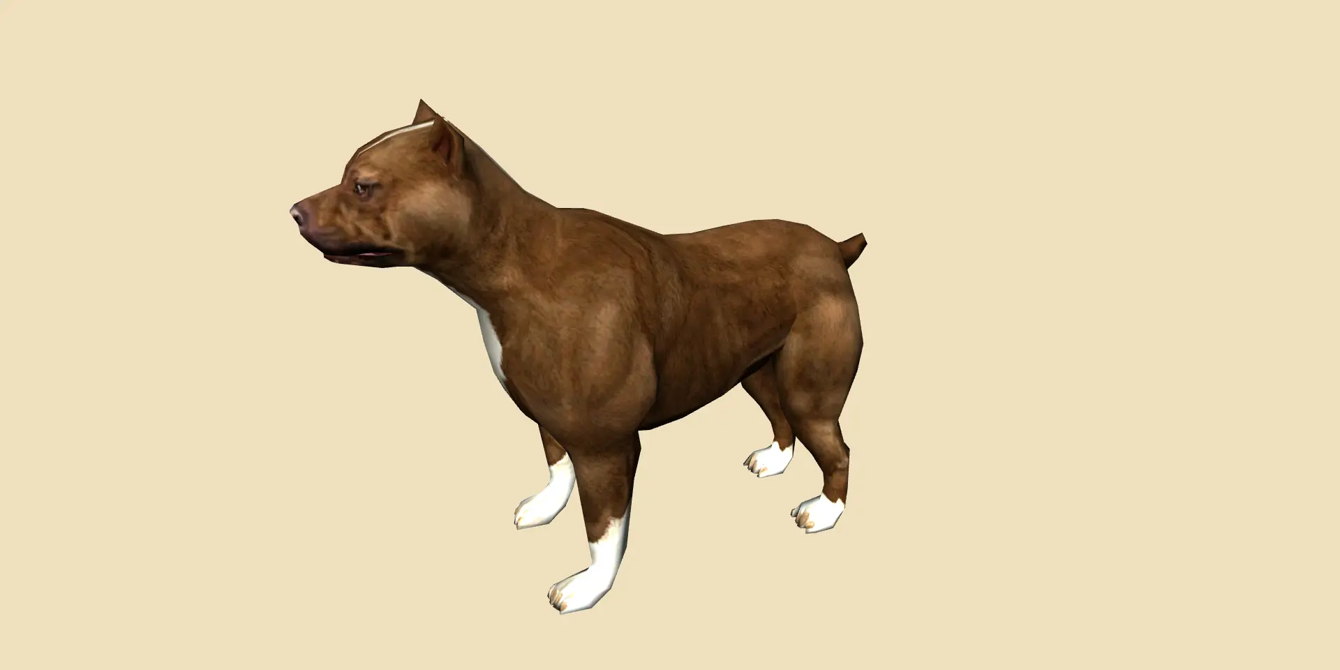 Skinned Mesh