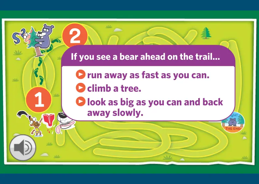 Be Bear-Aware