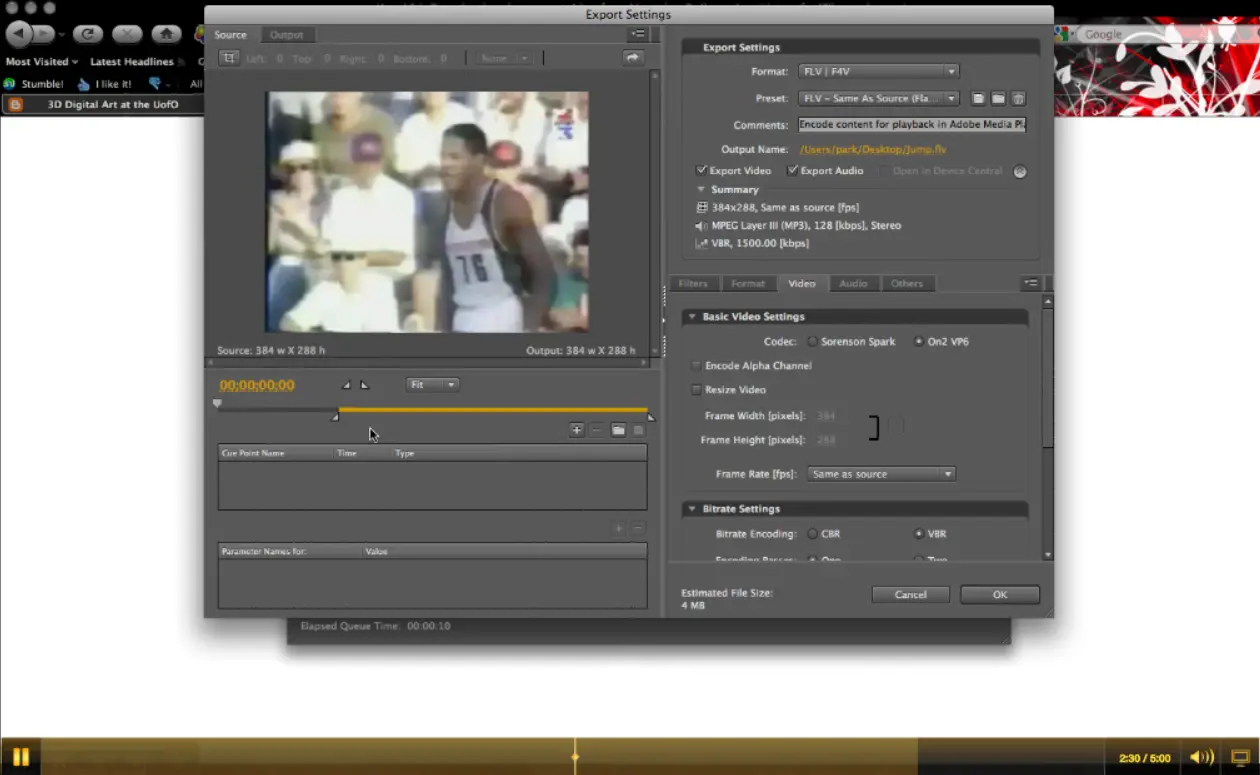 Flash - Video Import