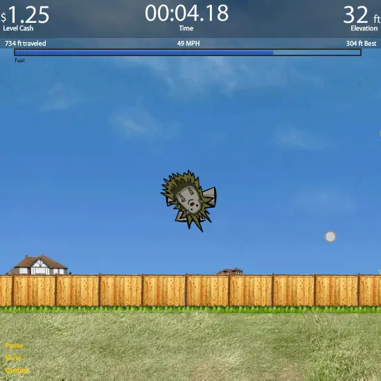 Hedgehog Launch