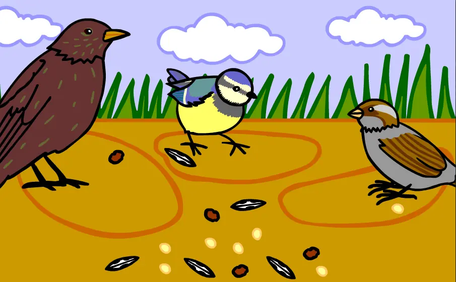 Feed the Birds