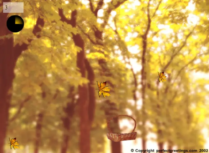 Catch the Leaves