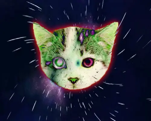 SPACAT
