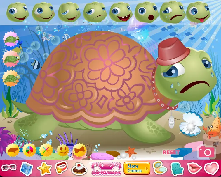 Turtle Pet