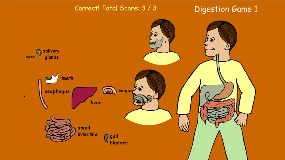 Digestion Game Level 1
