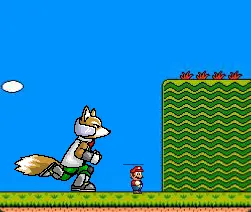Mario runs