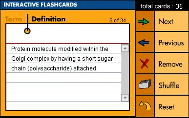 Interactive Flashcards