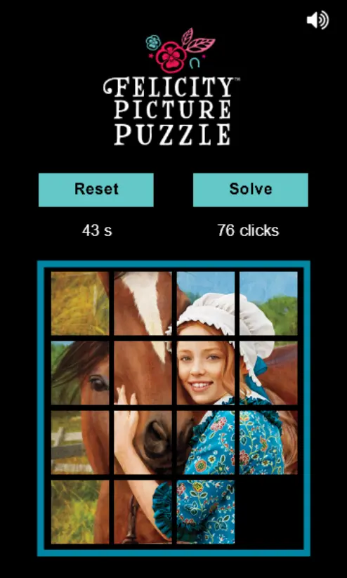 Felicity Picture Puzzle