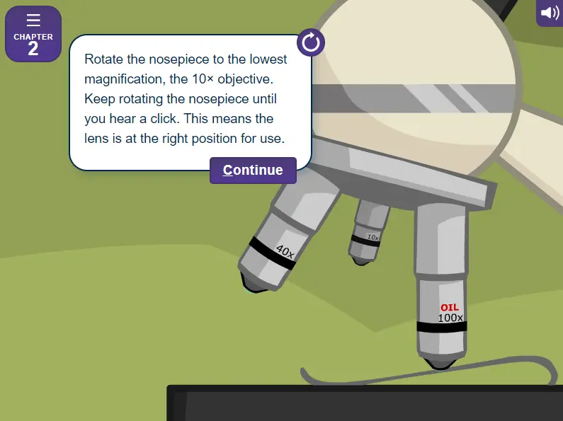 Using the Microscope