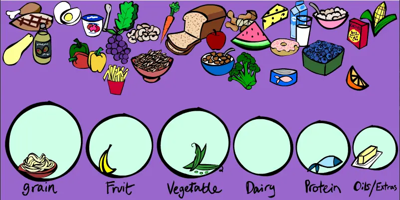 The Food Groups Game