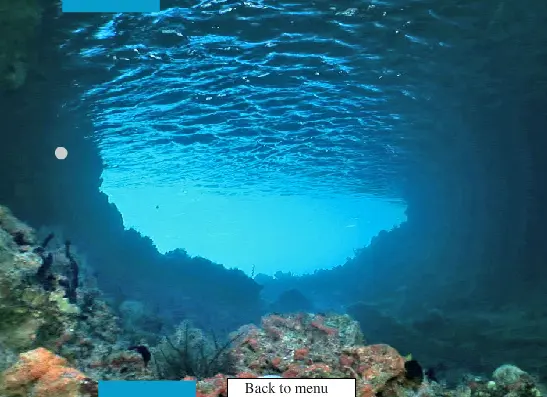 Ocean Ball!!!