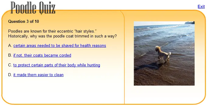 Poodle Quiz