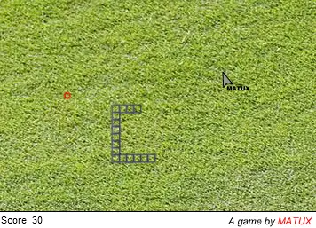 The Invisible Snake In The Grass