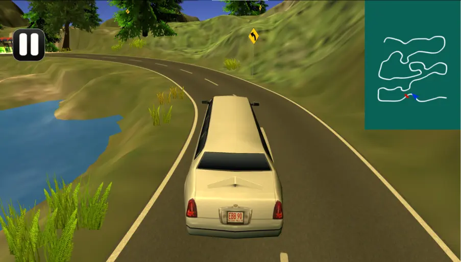Limousine Driver