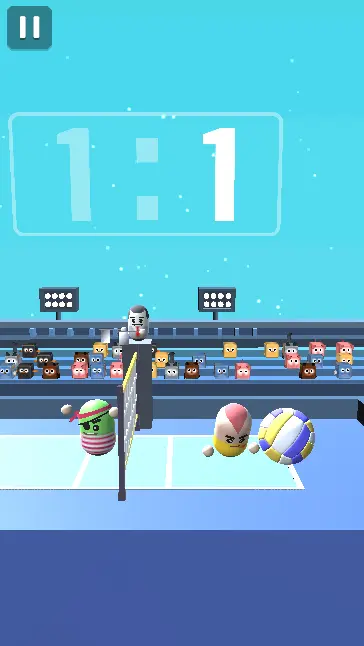 Amazing Volleyball